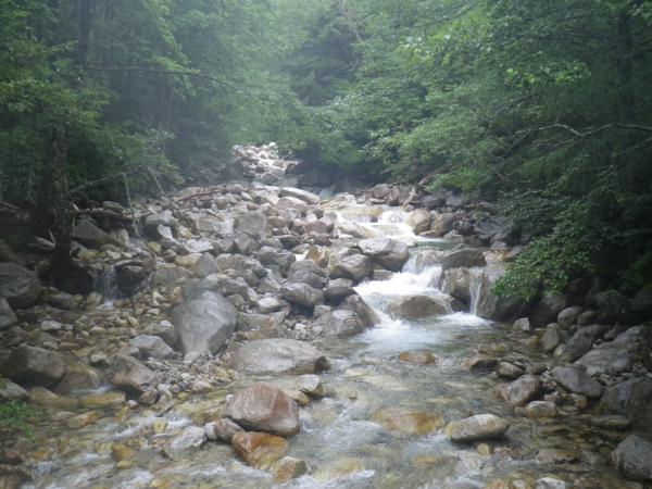 横尾を過ぎて♪岩魚発見！